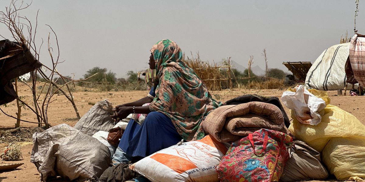 Sudan: Army loses last major city in Darfur