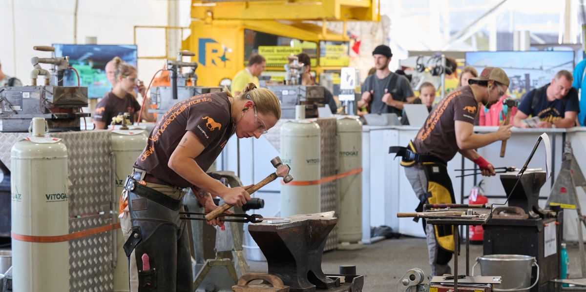 Training Companies: 59 Percent Criticize Apprentices' Skills