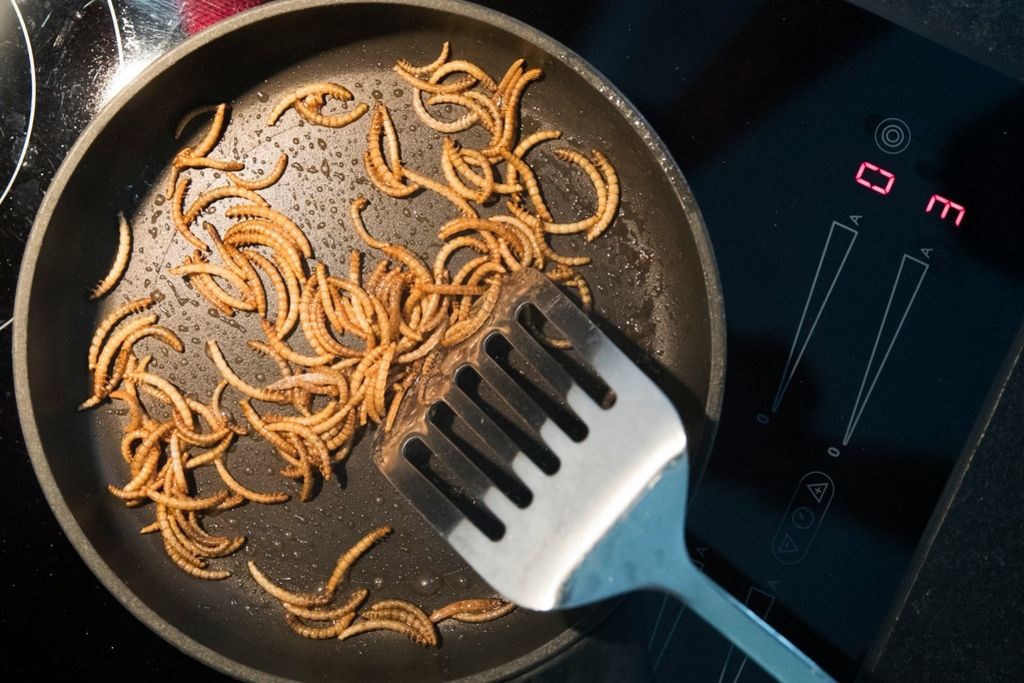 Cuisiner avec des insectes, bientôt une nécessité?