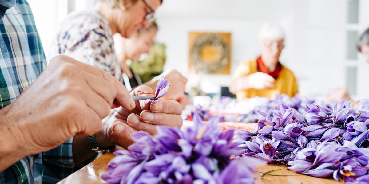 Des bananes et des olives bientôt dans les champs suisses