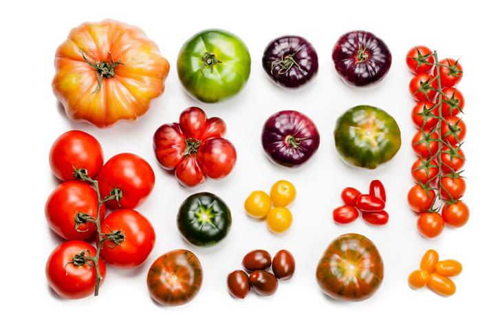 Q&A zum beliebtesten Gemse: Tomaten: Im Khlschrank lagern? Welche Sorten  fr welches Gericht?