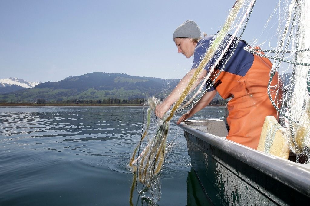 Die Fischerin vom Zürichsee Der Landbote
