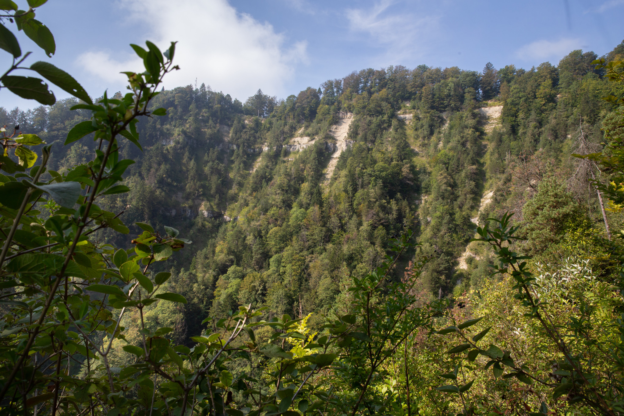 Tödlicher Bergunfall: Mann stürzt am Uetliberg in die Tiefe und stirbt