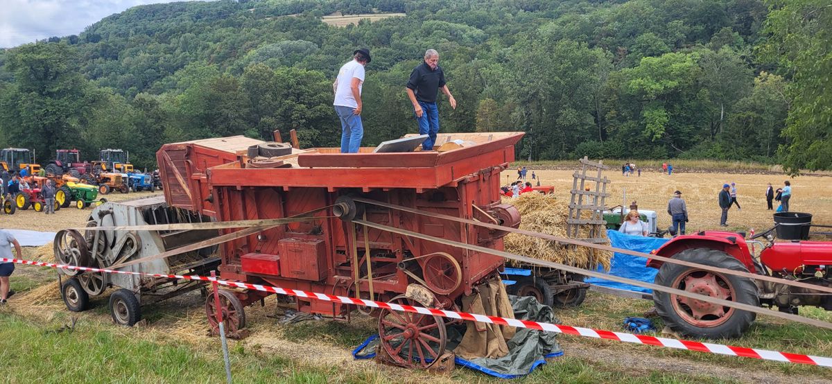 La moissonneuse-batteuse Marshall 91 de 1902, vedette de la journée.