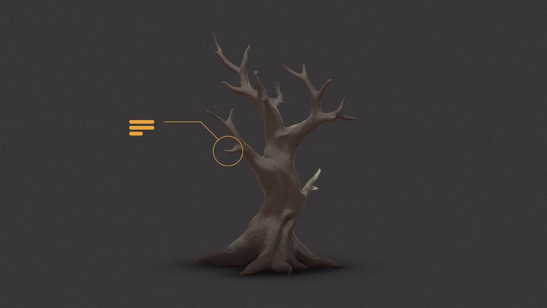 Un arbre change au fil des saisons