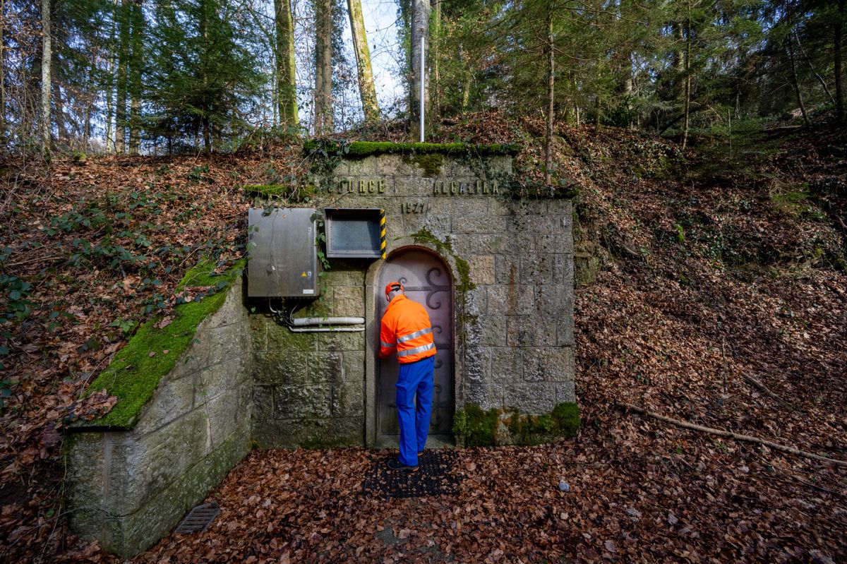 La source Alcalina est l’un des captages iconiques des eaux minérales Henniez, au cœur du Domaine d’Henniez.