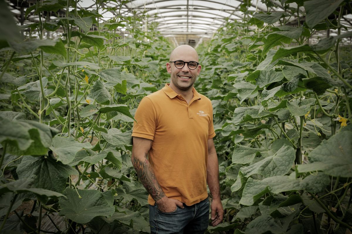 Petit-fils d’horticulteur, le maraîcher Sven Gämperle a repris Biosalève SA, à Troinex, il y a quasi une année.