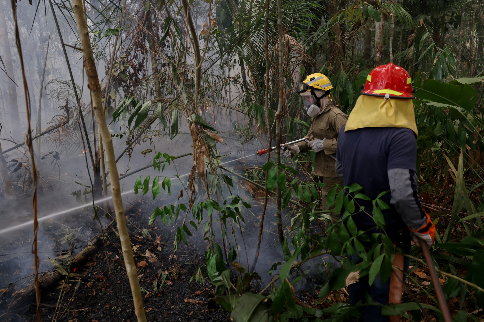 Amazonie brésilienne: La déforestation tombe à son plus bas niveau depuis 1988
