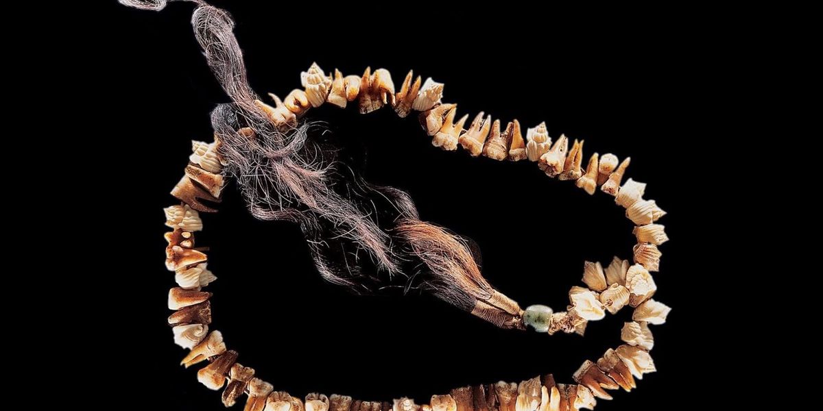バルビエ・ミュラー美術館にはカナックの作品が展示されている