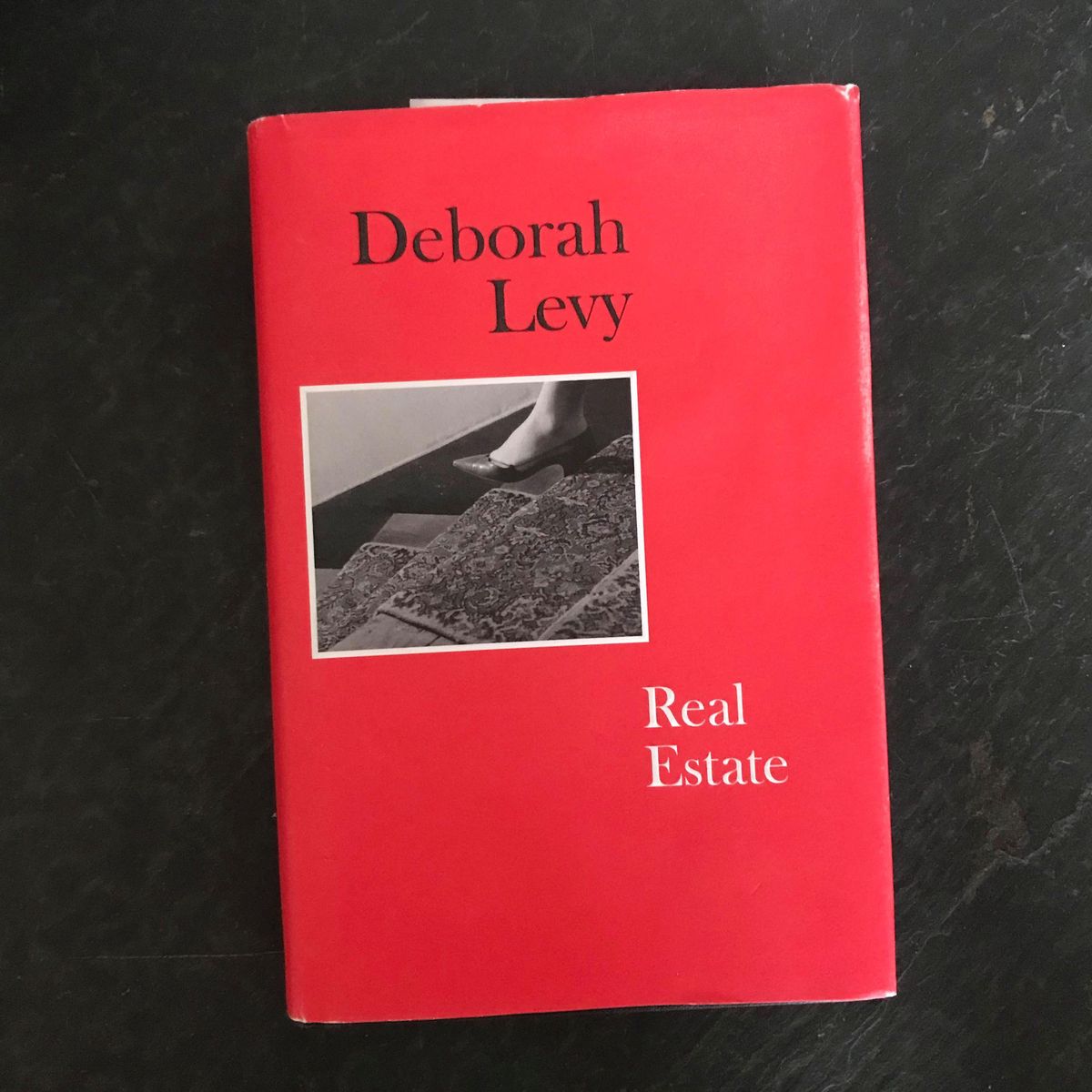 Was wir lesen Deborah Levy «Real Estate» Der Landbote