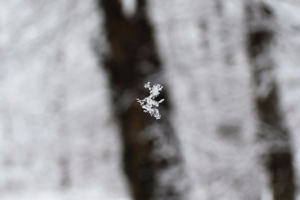 Des flocons saupoudrent Genève
