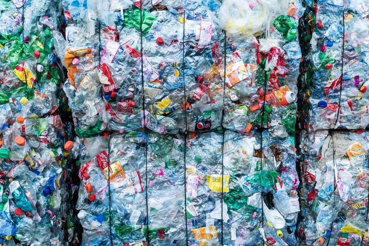 Planet Plüss: Wie schlimm ist Plastik? | Der Bund