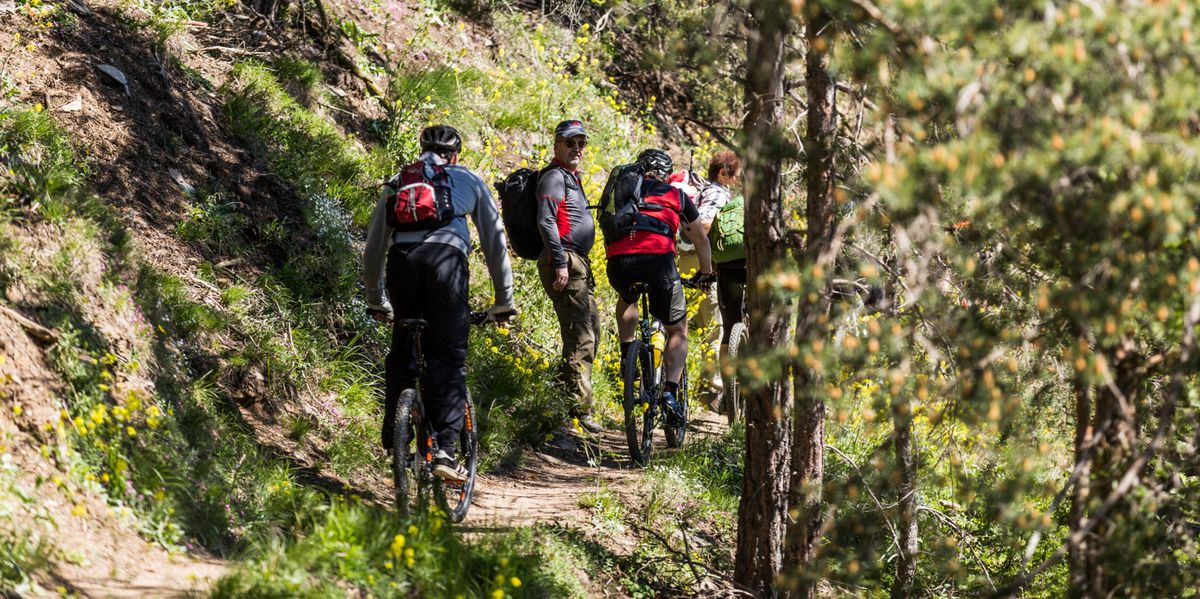 Streit-um-Wanderwege-Man-will-beim-Wandern-doch-nicht-st-ndig-auf-der-Hut-sein-m-ssen-Nicht-jeder-Mountainbiker-ist-r-cksichtslos-