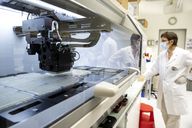 Onkologie: Molecular Partners zeigt neue präklinische Daten zu Krebswirkstoffen