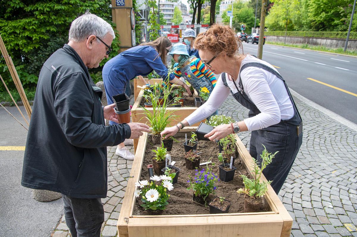 Permis de verdir - Sur le bitume fleurissent les jardins de poche | 24