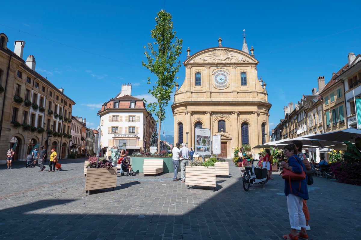 La place Pestalozzi, bordée par l'Hôtel de ville et le temple, accueille un platane provisoire installé en son centre.