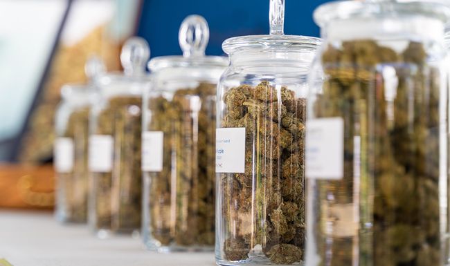 Cannabis soll ab dem 15. September in neun Apotheken in Basel erhältlich sein. 