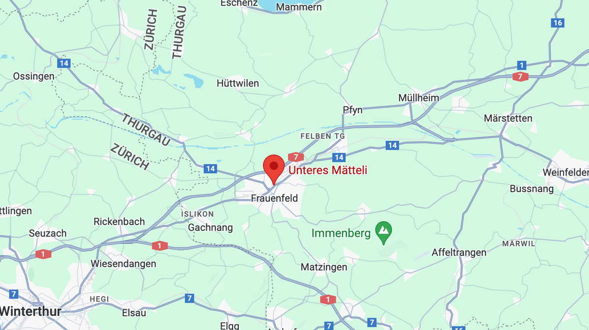 Frauenfeld TG Ehemaliges ArmeeGebäude in Vollbrand 20 Igel gerettet