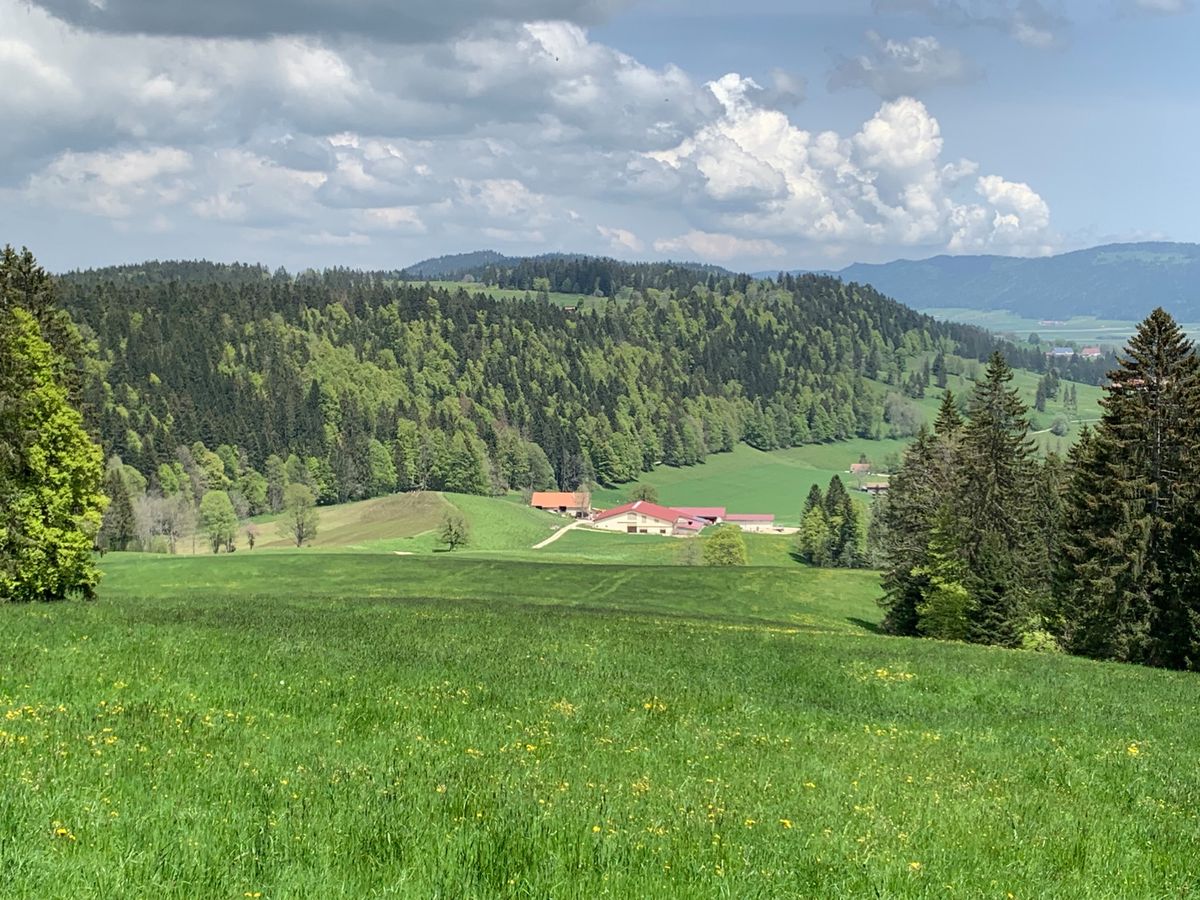 L’aéronef de 1982 s’est écrasé dans cette forêt du fond de la vallée de La Sagne.