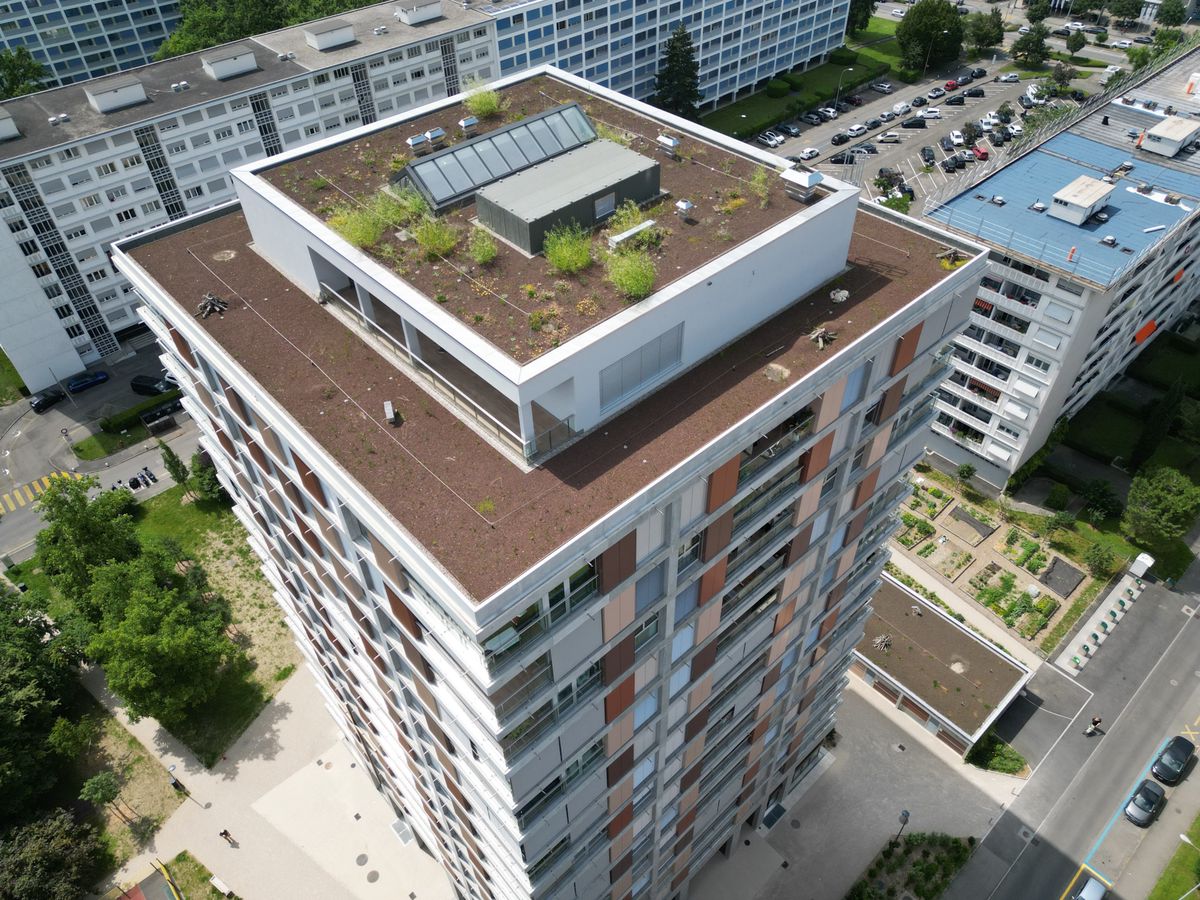 Petit-Lancy, le 25/06/2024 - la tour Saint-Marc.  
