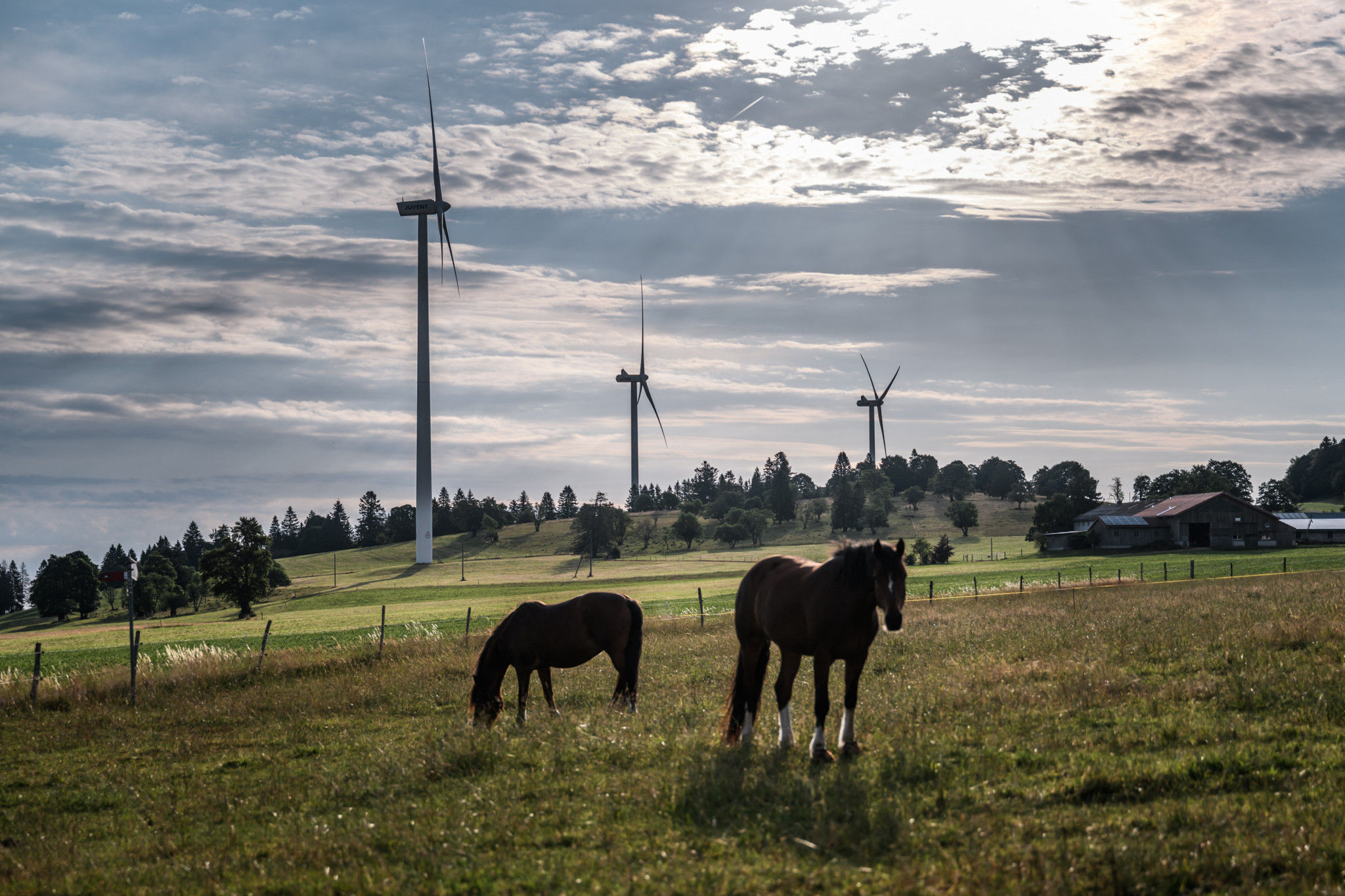 Energie in der Schweiz: Axpo-Vorstoss: Bund soll den Kantonen Windräder verordnen