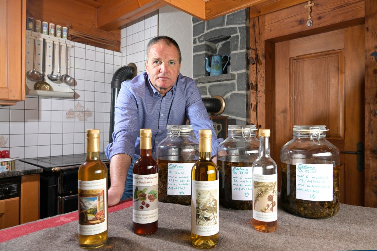 Val-d'Illiez, le 12  décembre 2023.  Alain Deladoey fabrique chez lui des liqueurs aux arômes de montagne. Génépi,  Châtaignes de Choëx,  Edelweiss et mélèze. le cordial digestif du montagnard.  24HEURES/Chantal Dervey