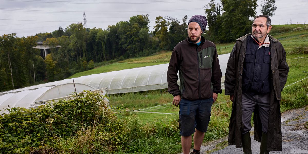Expropriés pour planter des arbres, des paysans de Crissier contre-attaquent