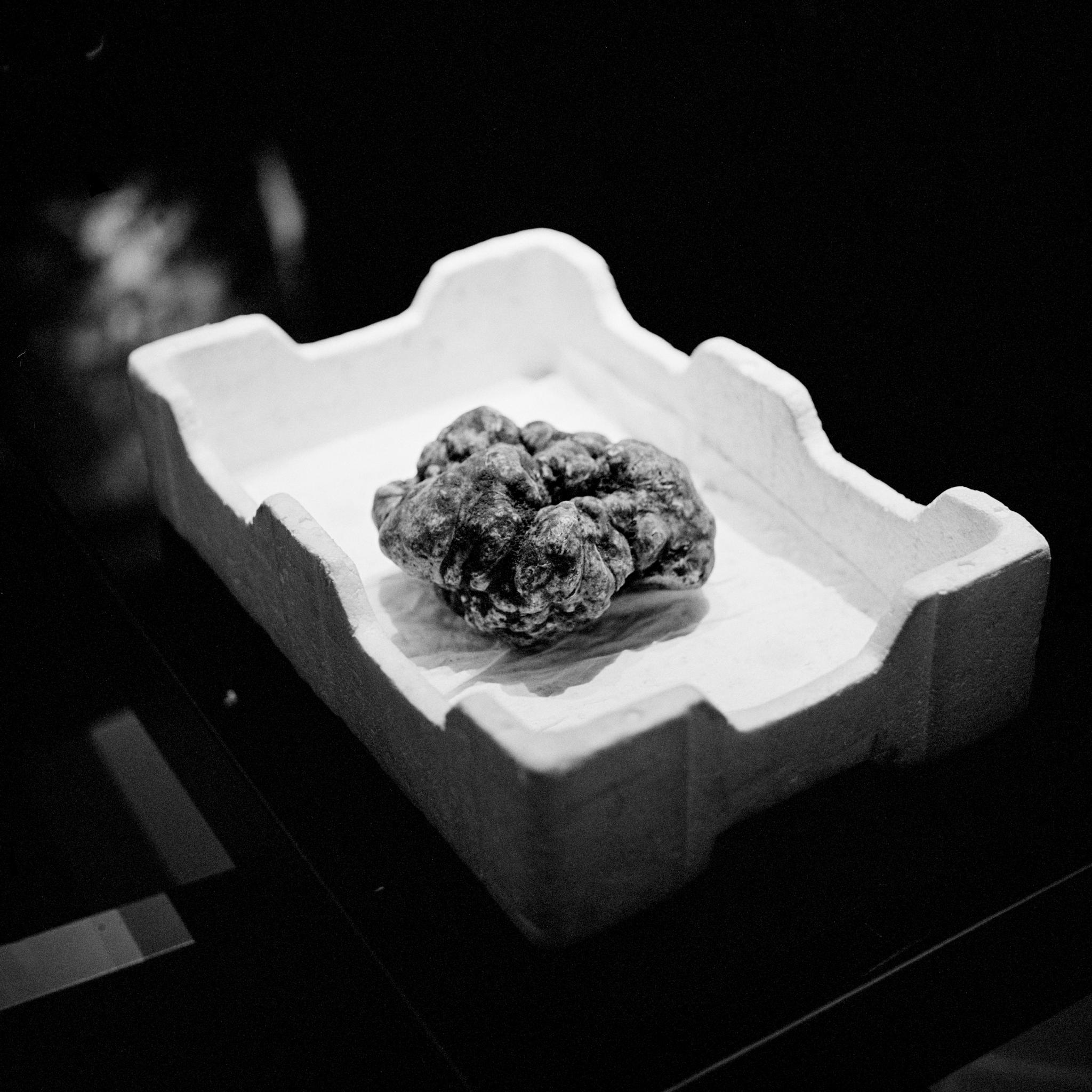 2ufQYeQJ4It8al-iM1dCYz.jpg?op=ocropedu0026val=1200,1200,1000,1000,0,0u0026sum=pHj7WTXpPsM