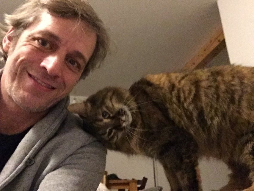 «Nach über vier Jahren ist Millie wieder aufgetaucht» Zürcher Unterländer