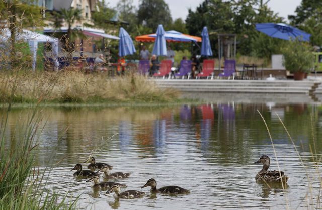 Liebefeld Liebefeld Park startet Sommersaison | Berner Zeitung