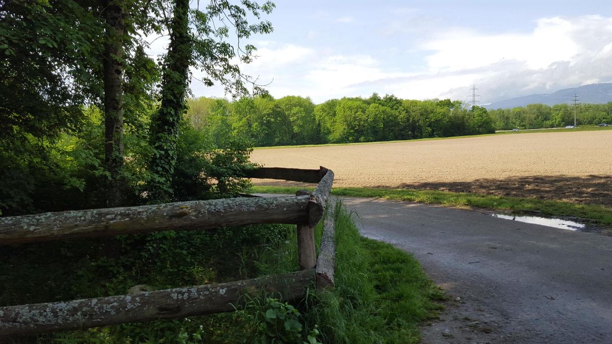 Le projet de mégastep régionale unique n’est plus d’actualité, mais le secteur du Lavasson à Gland reste le site le plus probable pour l’implantation d’une station d’épuration plus petite.