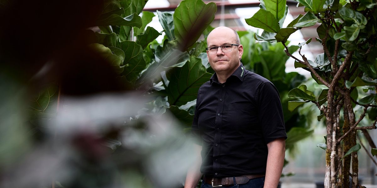 Drought: Illnau nursery battles heat