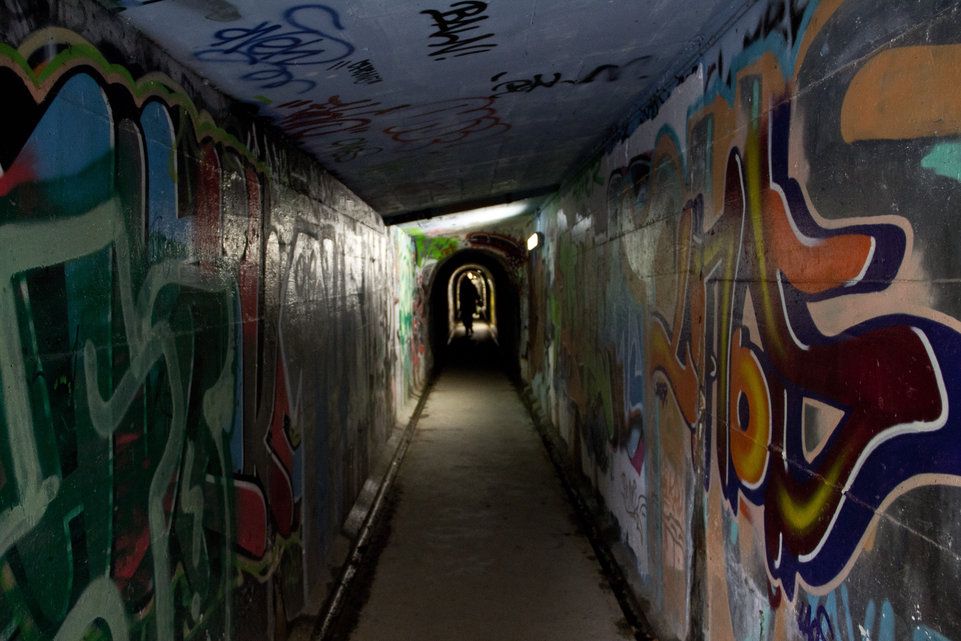 Füchse werden auch in der Stadt gejagt | Berner Zeitung