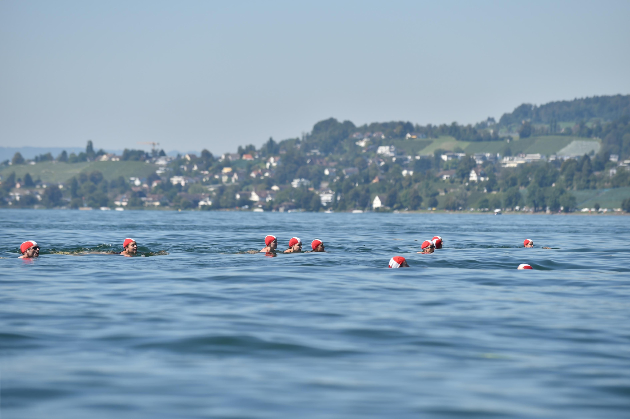 Schwimmerinnen und Schwimmer mit roten Badekappen beim Lützelauschwimmen in Rapperswil-Jona im Zürichsee, mit Ortschaft im Hintergrund.