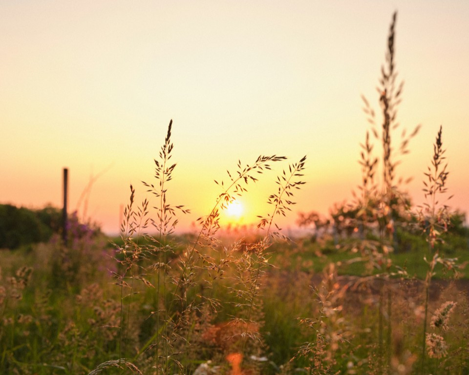 Late summer in the Basel region: Lots of sun and warm temperatures expected