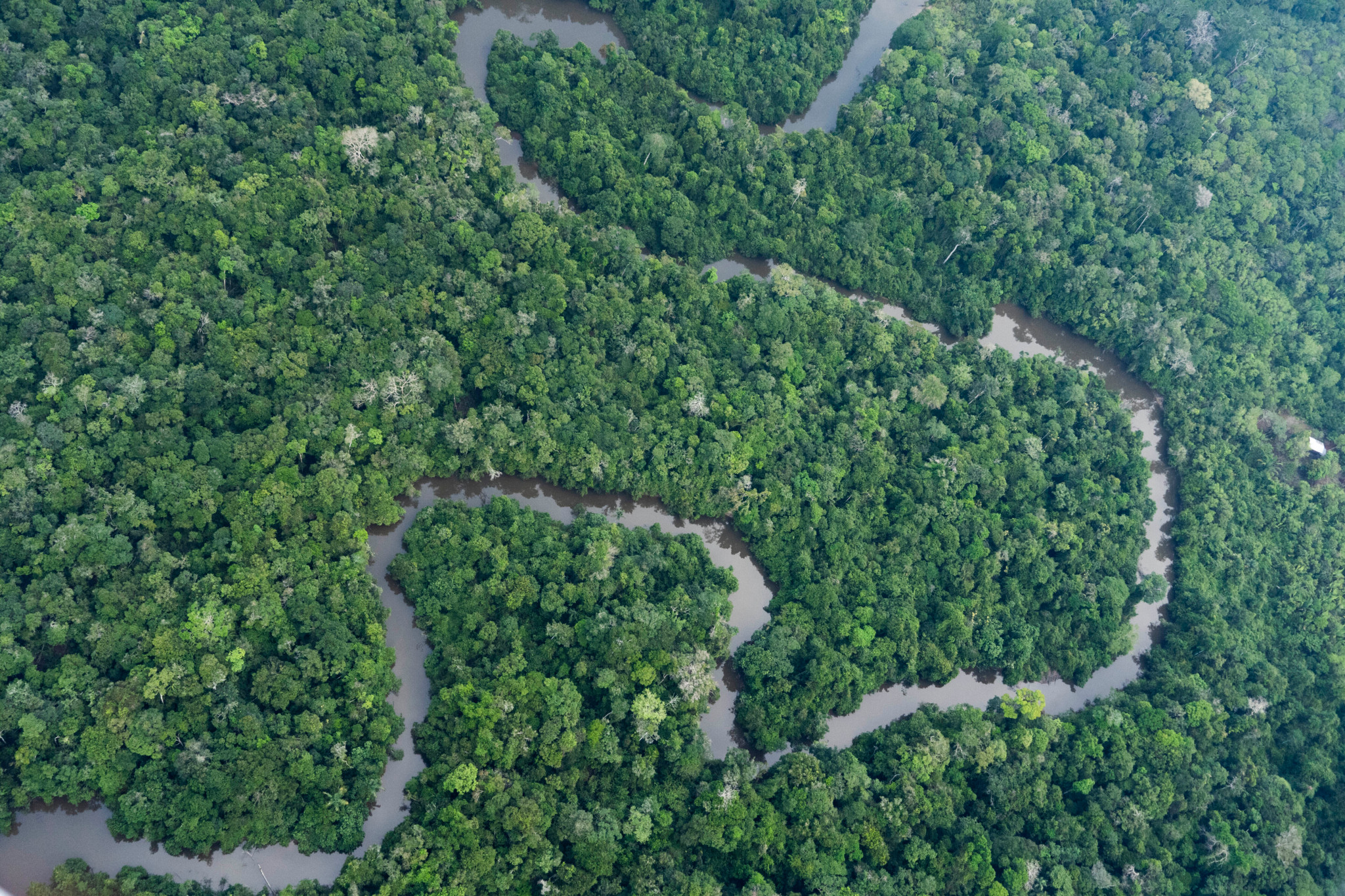A river runs through the jungle near Porto Velho, Brazil, Tuesday, Aug. 27, 2019. While many of the recorded fires this year were set in already deforested areas by people clearing land for cultivation or pasture, Brazilian government figures indicate that they are much more widespread this year, suggesting the threat to the vast ecosystem is intensifying. (AP Photo/Victor R. Caivano)