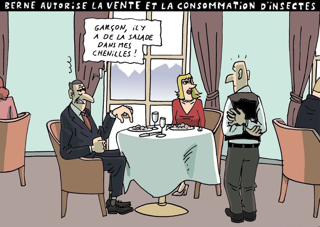 Dessin du 17 décembre