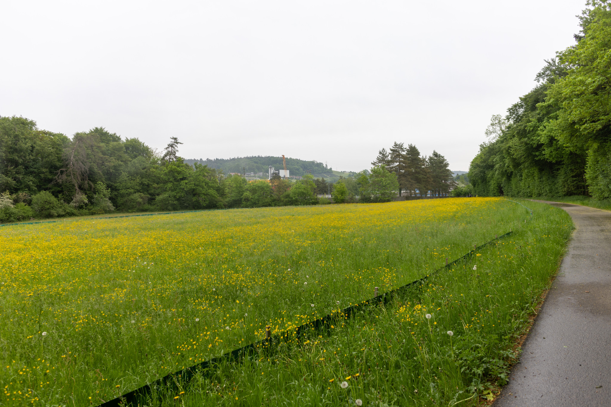 Generationenprojekt ARA Winterthur: Was Winterthurs WC-Spülungen mit der Artenvielfalt zu tun haben