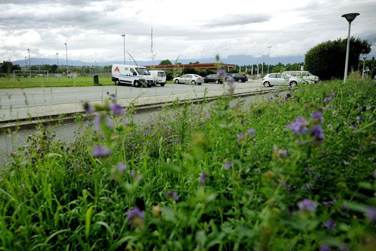En 2014, le fourgon d’un convoyeur de fonds est attaqué sur le parking du stade des Cherpines. Les auteurs seront arrêtés suite à un deuxième braquage au détriment de la même société de sécurité. 