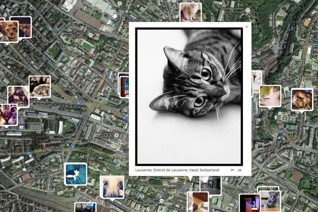 Les chats autour du quartier de la Riponne à Lausanne (capture d'écran)