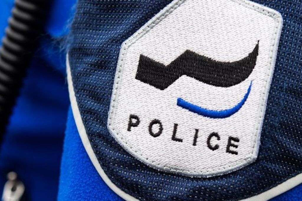 Ils volent 49 téléphones et se font arrêter