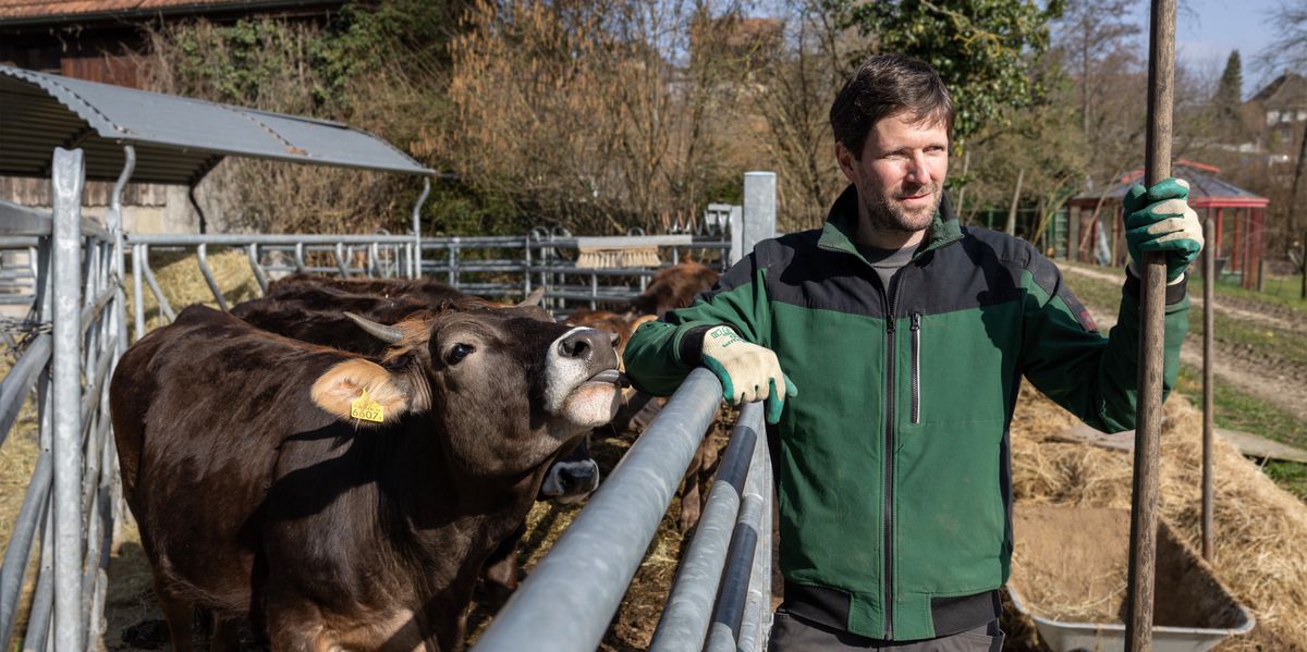 Small Farmers Fear for Survival as Swiss Federal Council Policies Drive Farm Closures