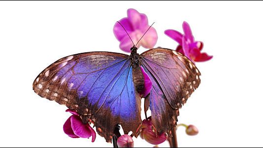 Ich Kann Mich Nicht Verlieben Schwester Herz: «Ich kann mich nicht verlieben » - 20 Minuten