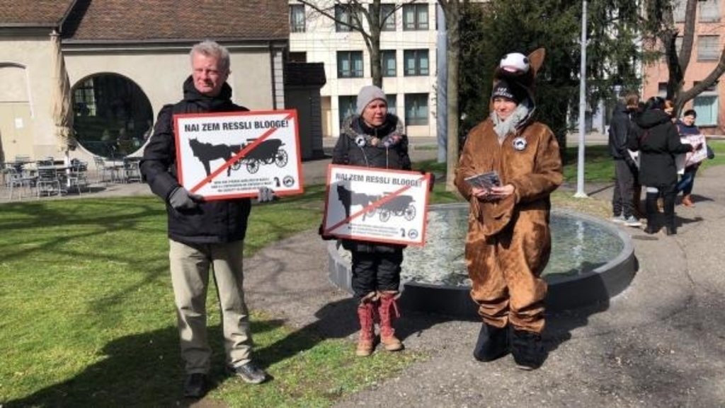 Schon wieder stürzt ein Pferd an der Basler Fasnacht