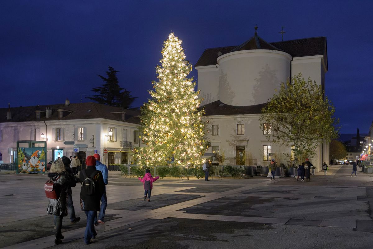 Chouette, ça sent le sapin!