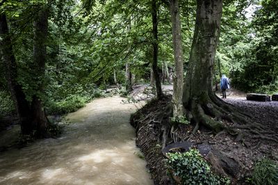 Giftstoffe-im-Allschwiler-Wasser-Aus-der-Deponie-Roemisloch-tritt-weiterhin-Benzidin-aus