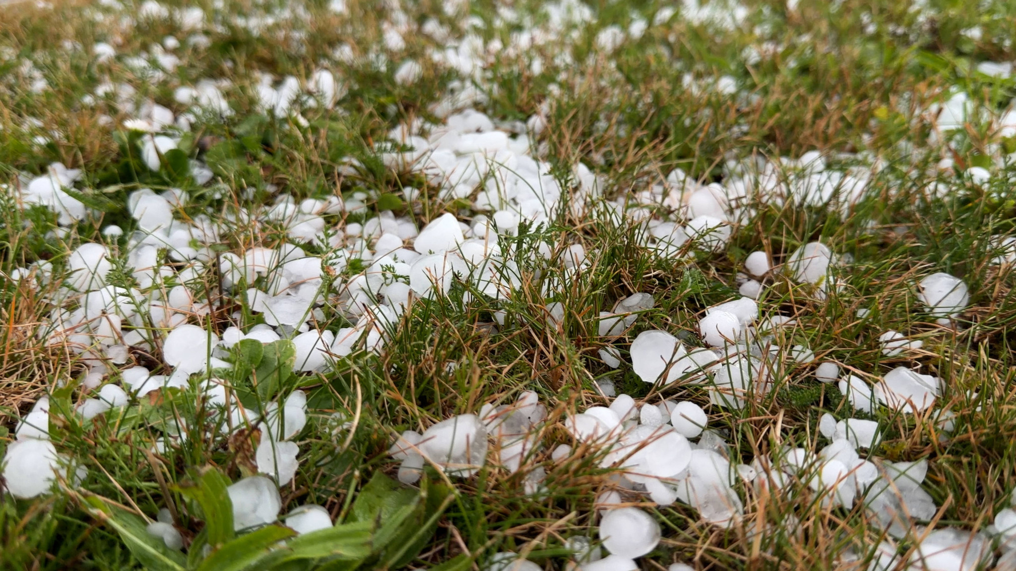 Orages de grêle: Vaudoise Assurances s’attend à plus de 2000 véhicules endommagés