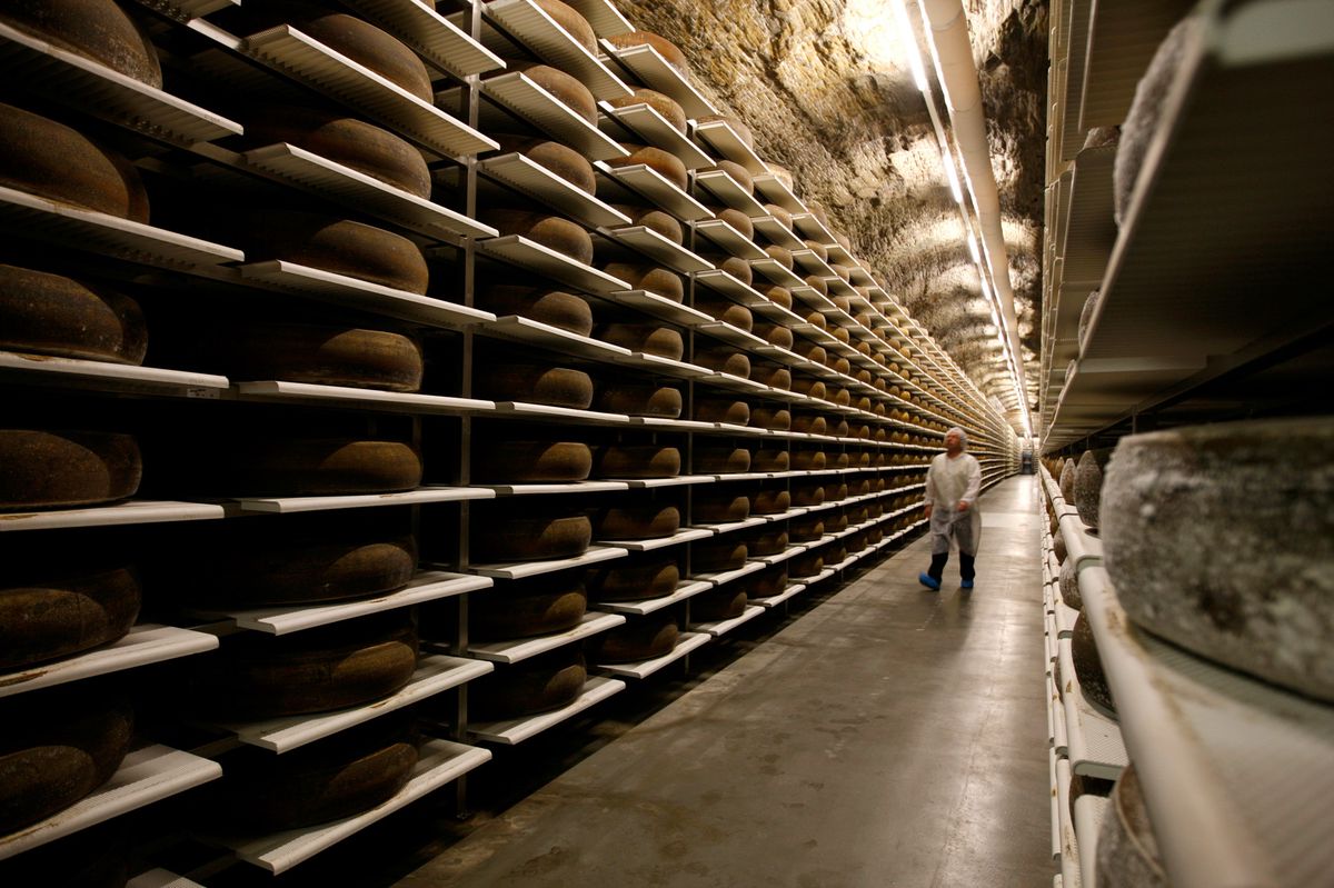 Für Nachschub ist gesorgt: Käse und andere Milchprodukte sind auch in ökonomisch schwierigen Zeiten gefragt.