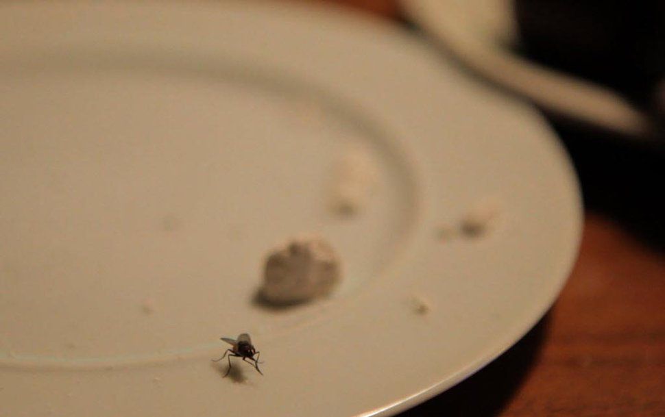 Im Film kommt Regisseur Marcel Wyss seinem Stoff sehr nahe.