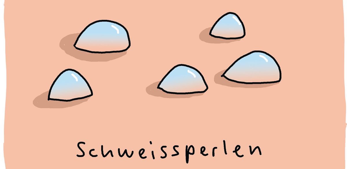 Wahl der Woche: Frieren oder Schwitzen? | Der Bund